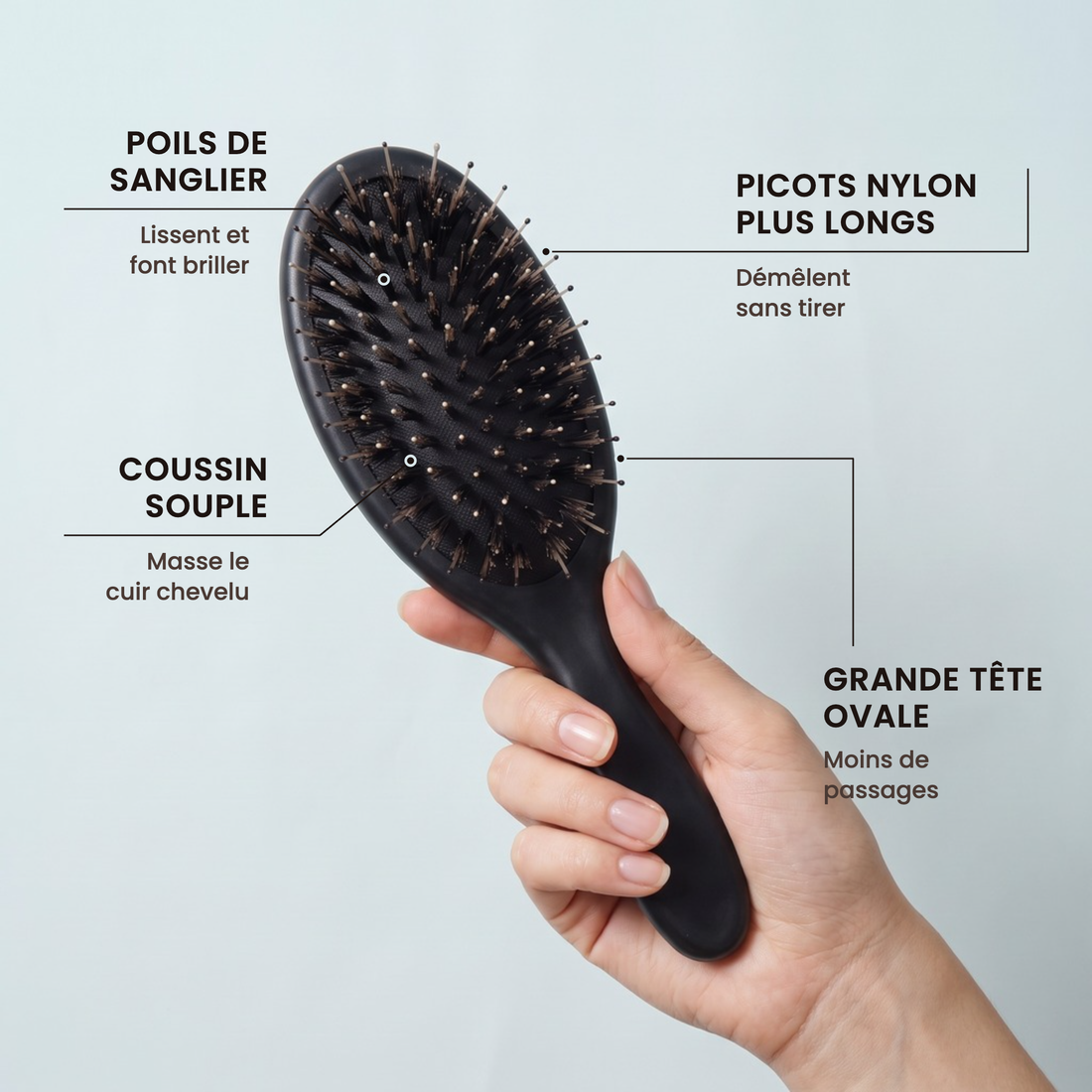 La Brosse Sanglier