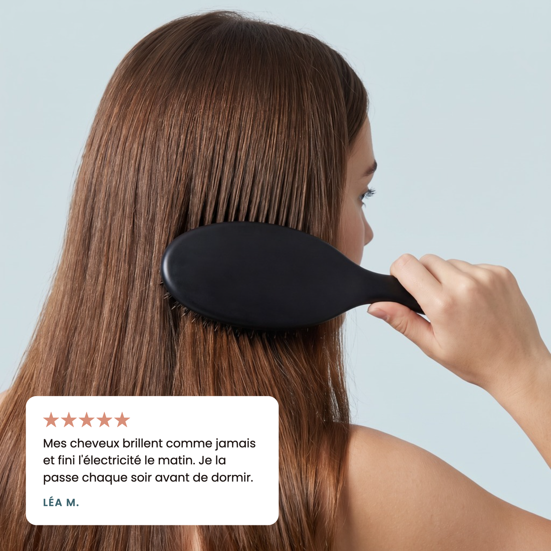 La Brosse Sanglier