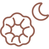 Aucun pli